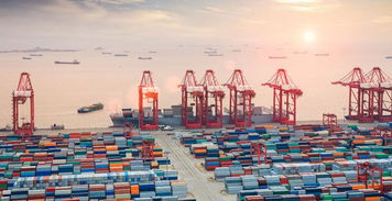 一切要從傳統(tǒng)貨代轉(zhuǎn)型經(jīng)營跨境電商物流說起