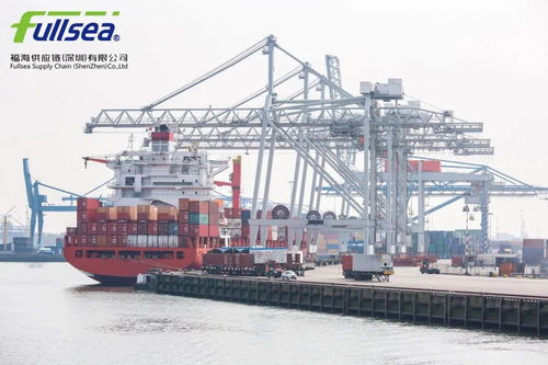 貨代人如何打造專業(yè)人設(shè) 打造信任與價(jià)值的貨運(yùn)代理形象