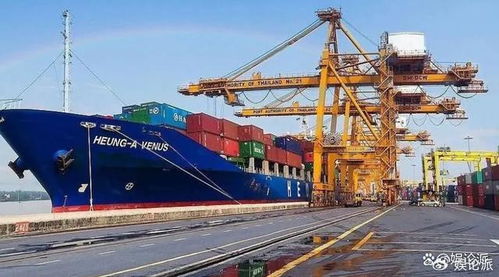 國內十大國際貨運代理公司概覽