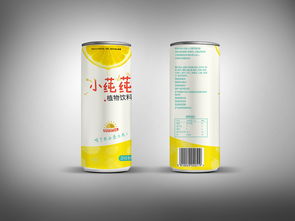 包裝服務(wù)的藝術(shù)與科學(xué) 從產(chǎn)品包裝到品牌價(jià)值的提升